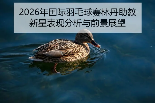 2026年国际羽毛球赛林丹助教新星表现分析与前景展望