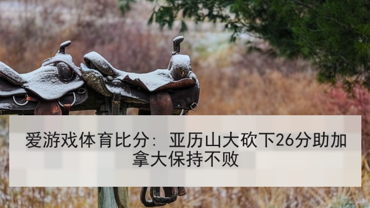 爱游戏体育比分: 亚历山大砍下26分助加拿大保持不败